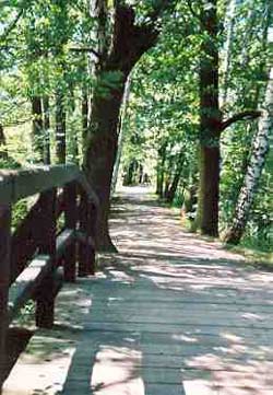 Frühling im Spreewald