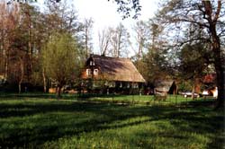 Frühling im Spreewald