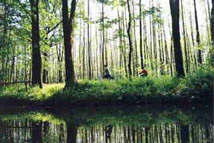 Radfahrt im Spreewald